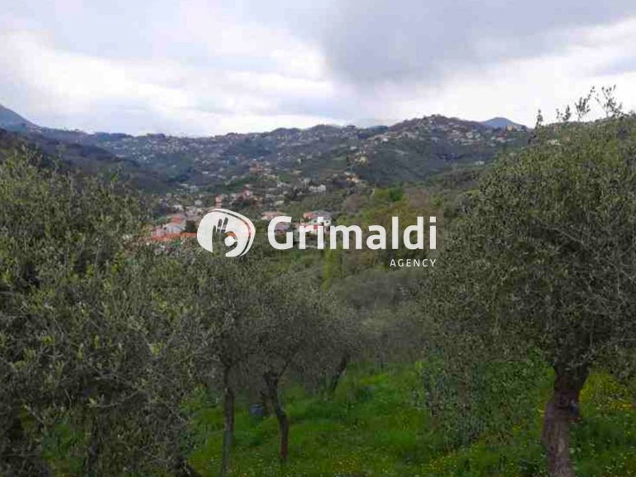 immagine annuncio 3 di 6
