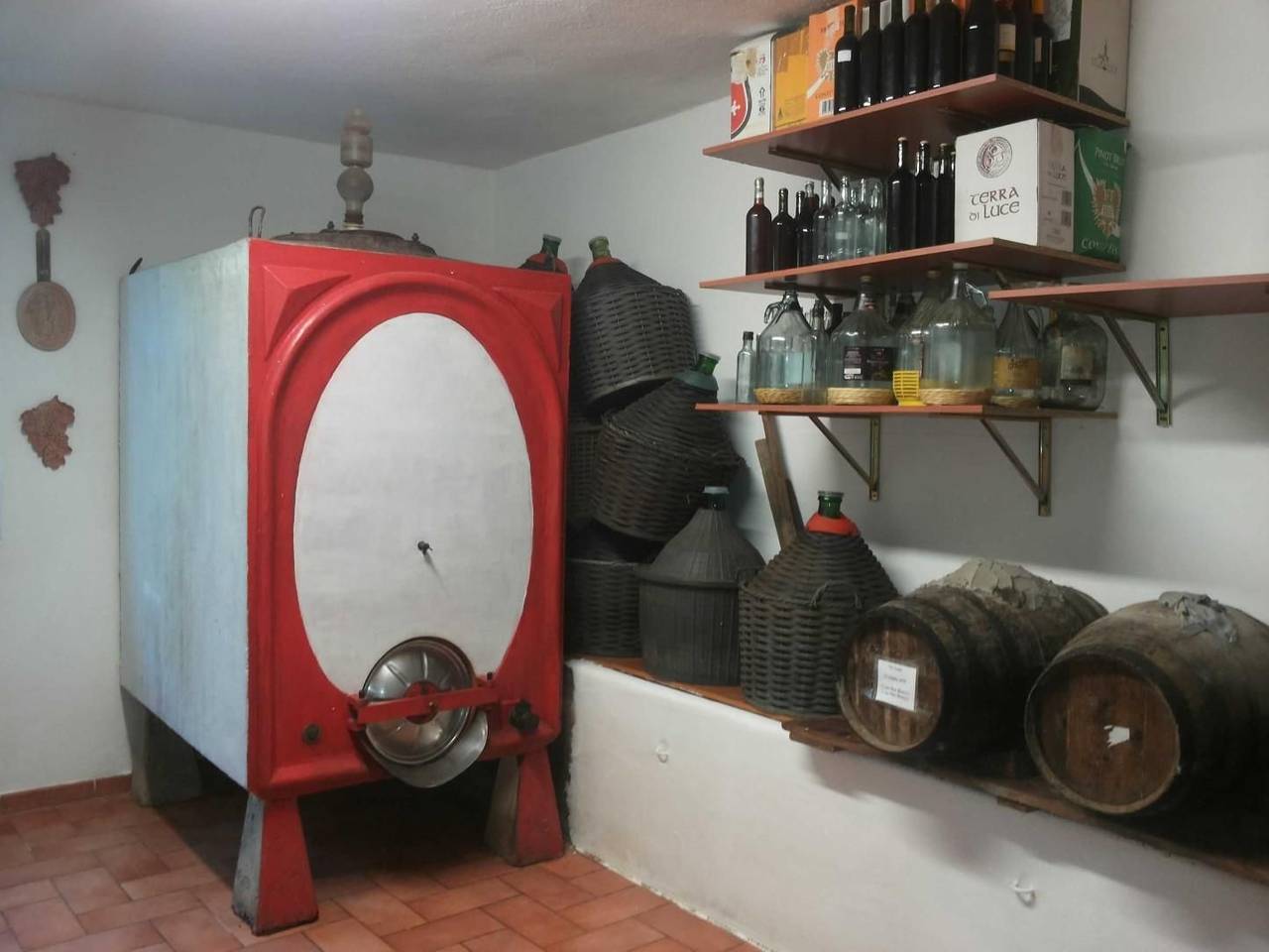 immagine annuncio 11 di 15