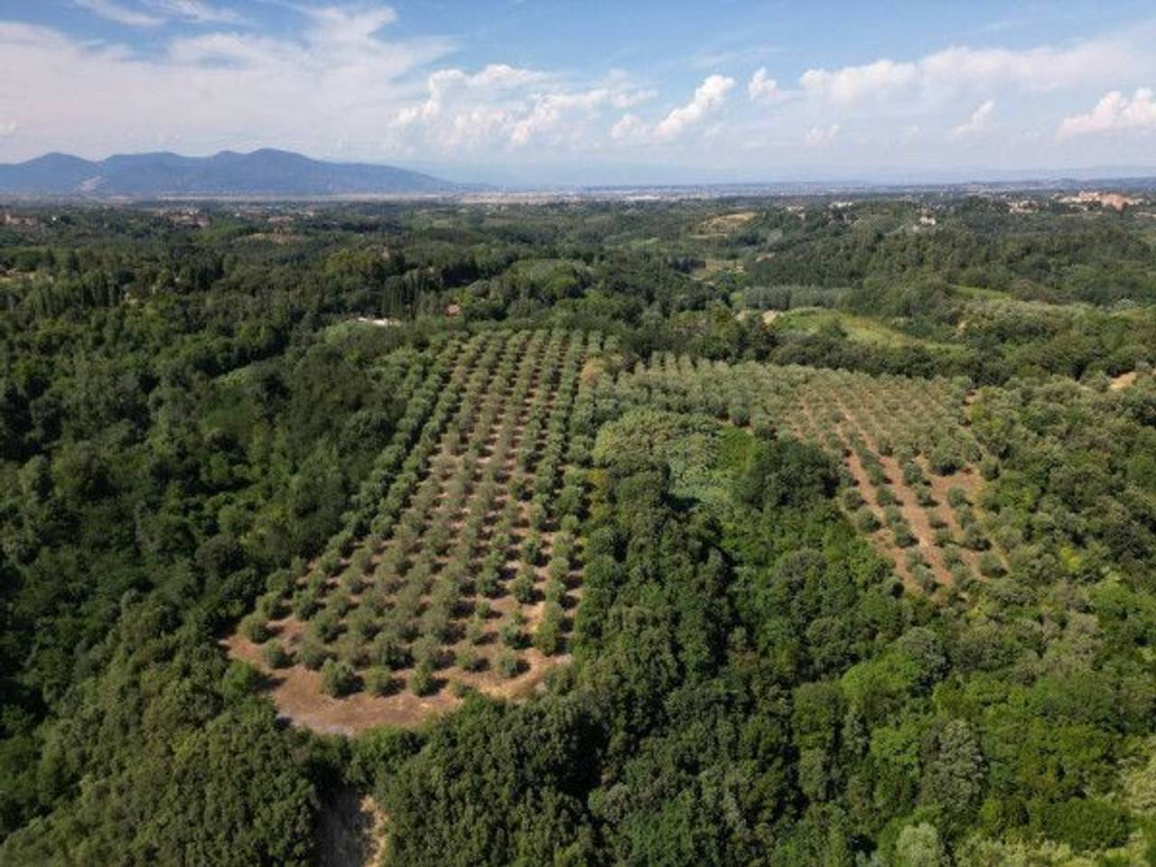 immagine annuncio 10 di 13