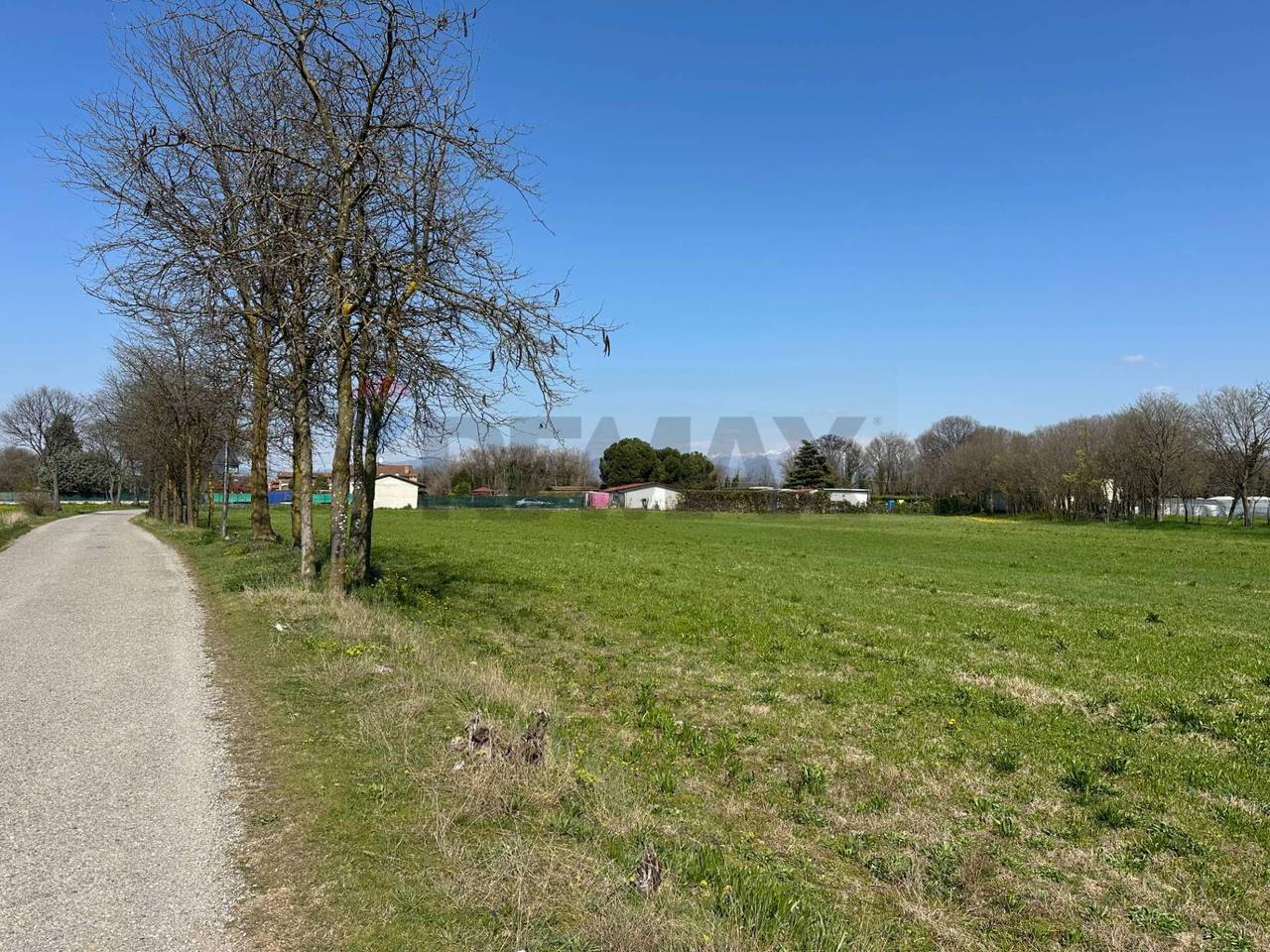 immagine annuncio 8 di 12