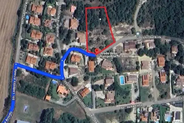 insertion image