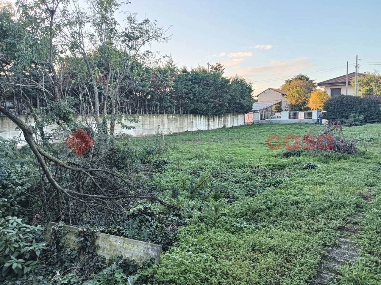 immagine annuncio 12 di 13