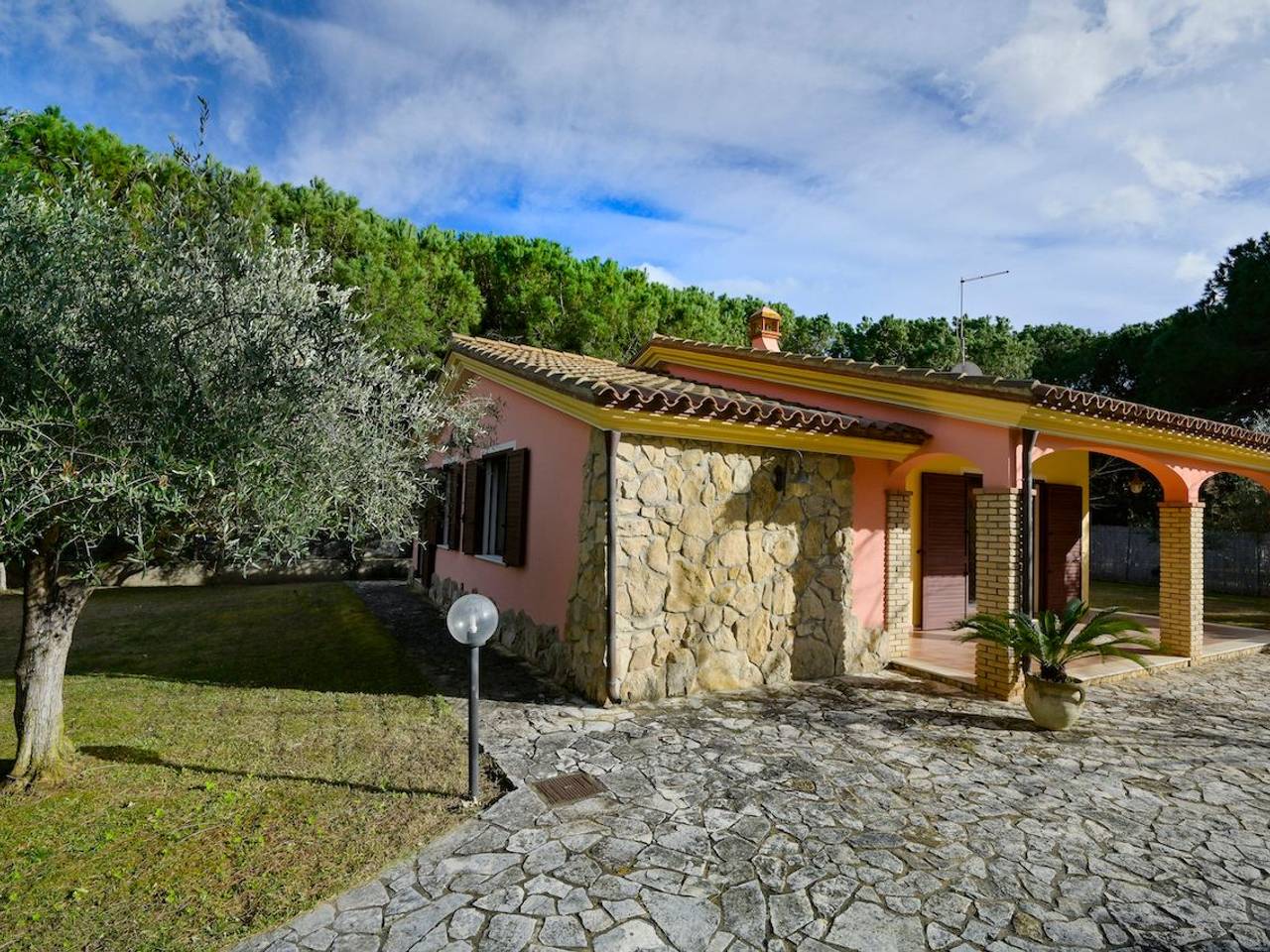 immagine annuncio 9 di 15