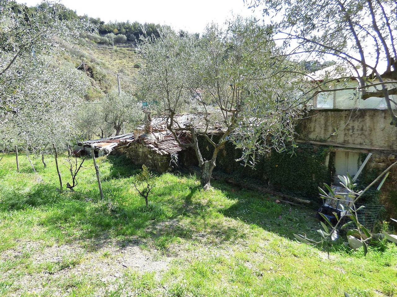 immagine annuncio 7 di 9