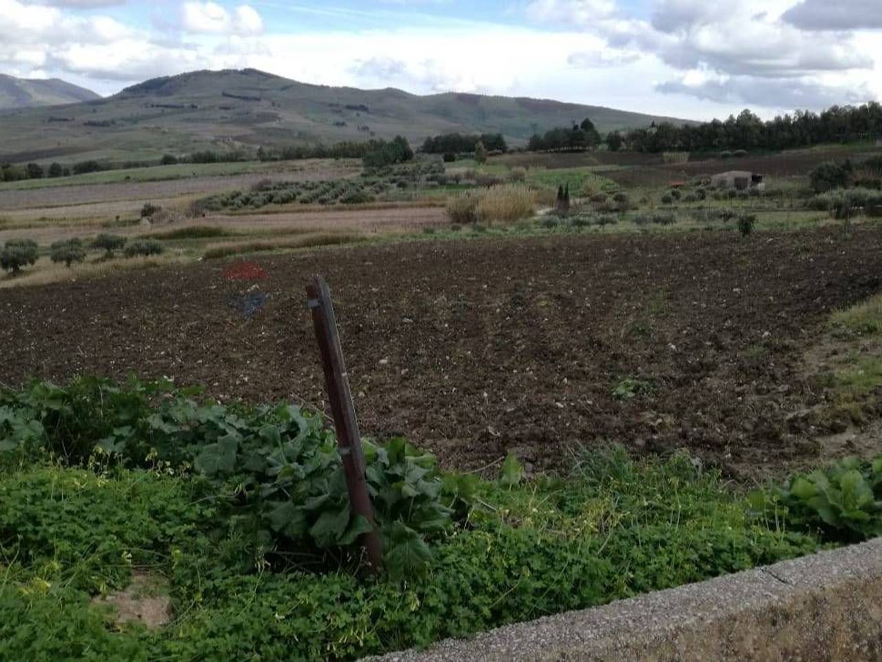 immagine annuncio 6 di 9