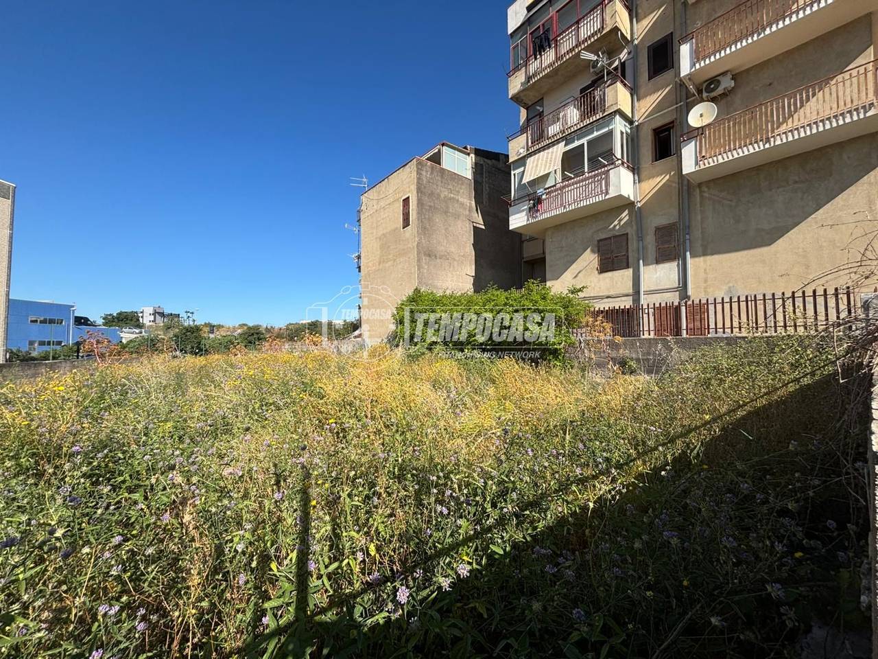 immagine annuncio 9 di 14