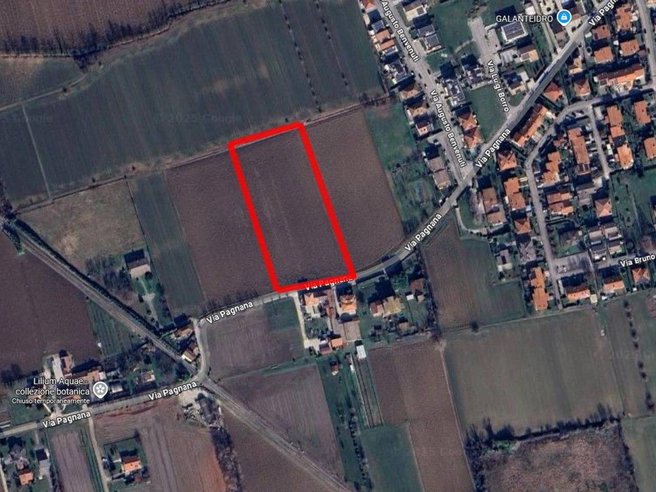 immagine annuncio 3 di 7