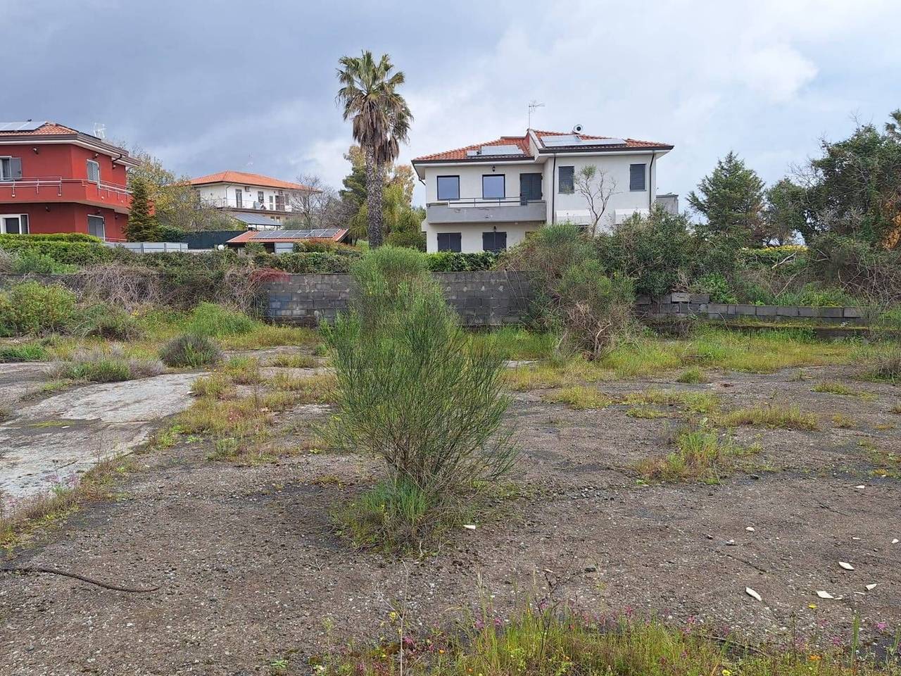 immagine annuncio 3 di 9