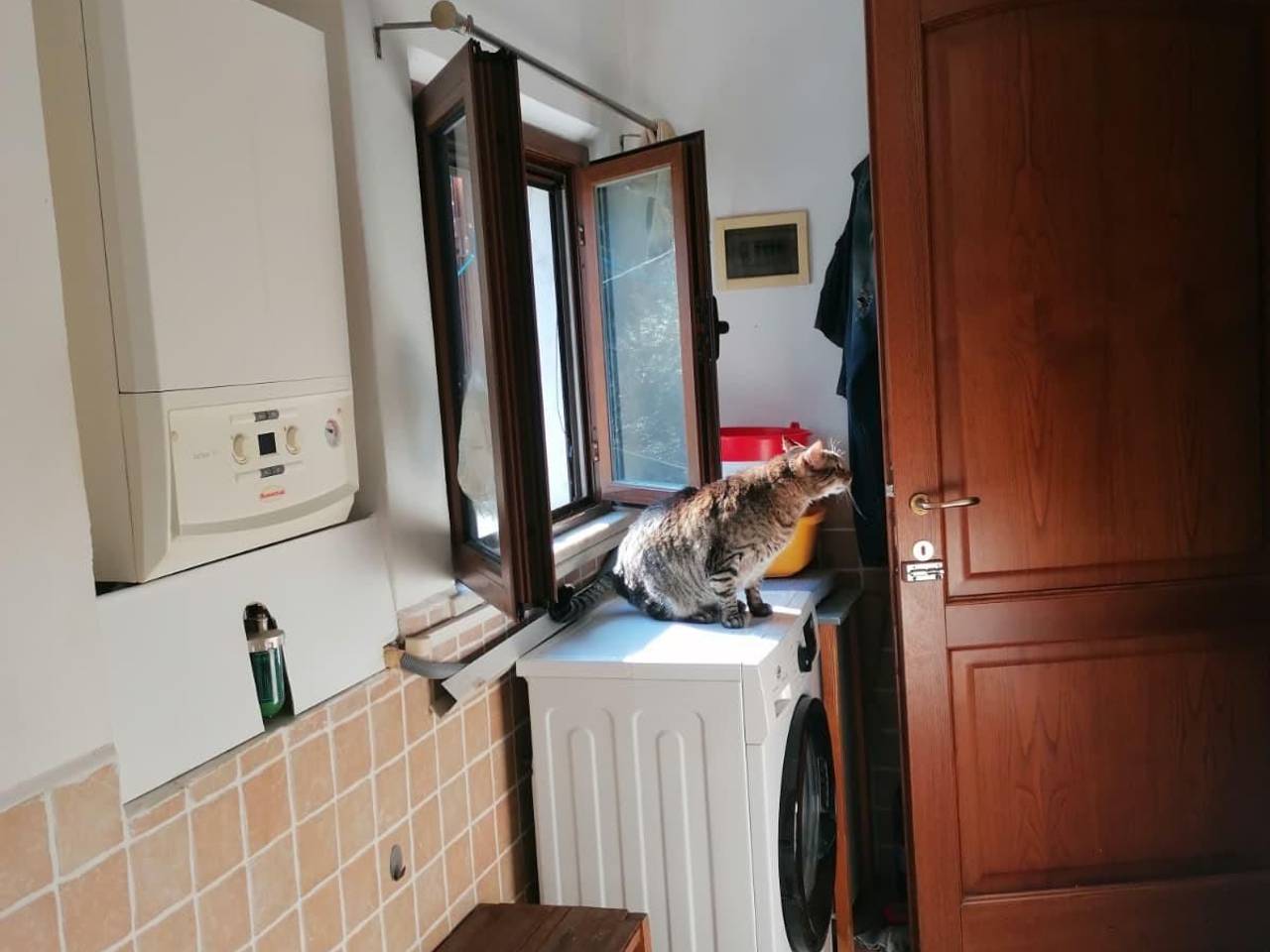 immagine annuncio 7 di 9