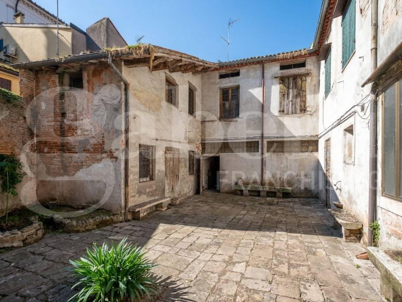 immagine annuncio 2 di 14