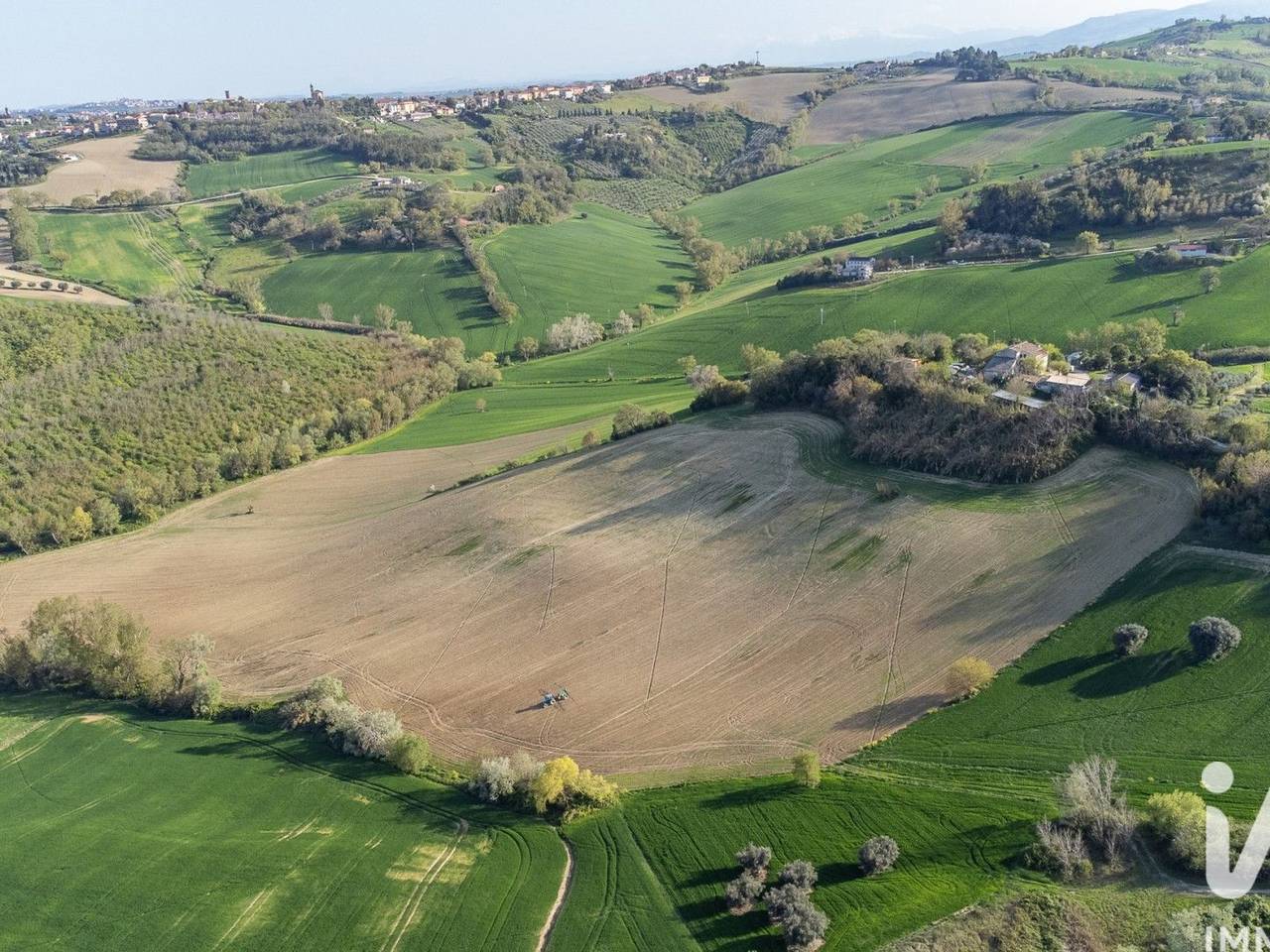 immagine annuncio 10 di 14