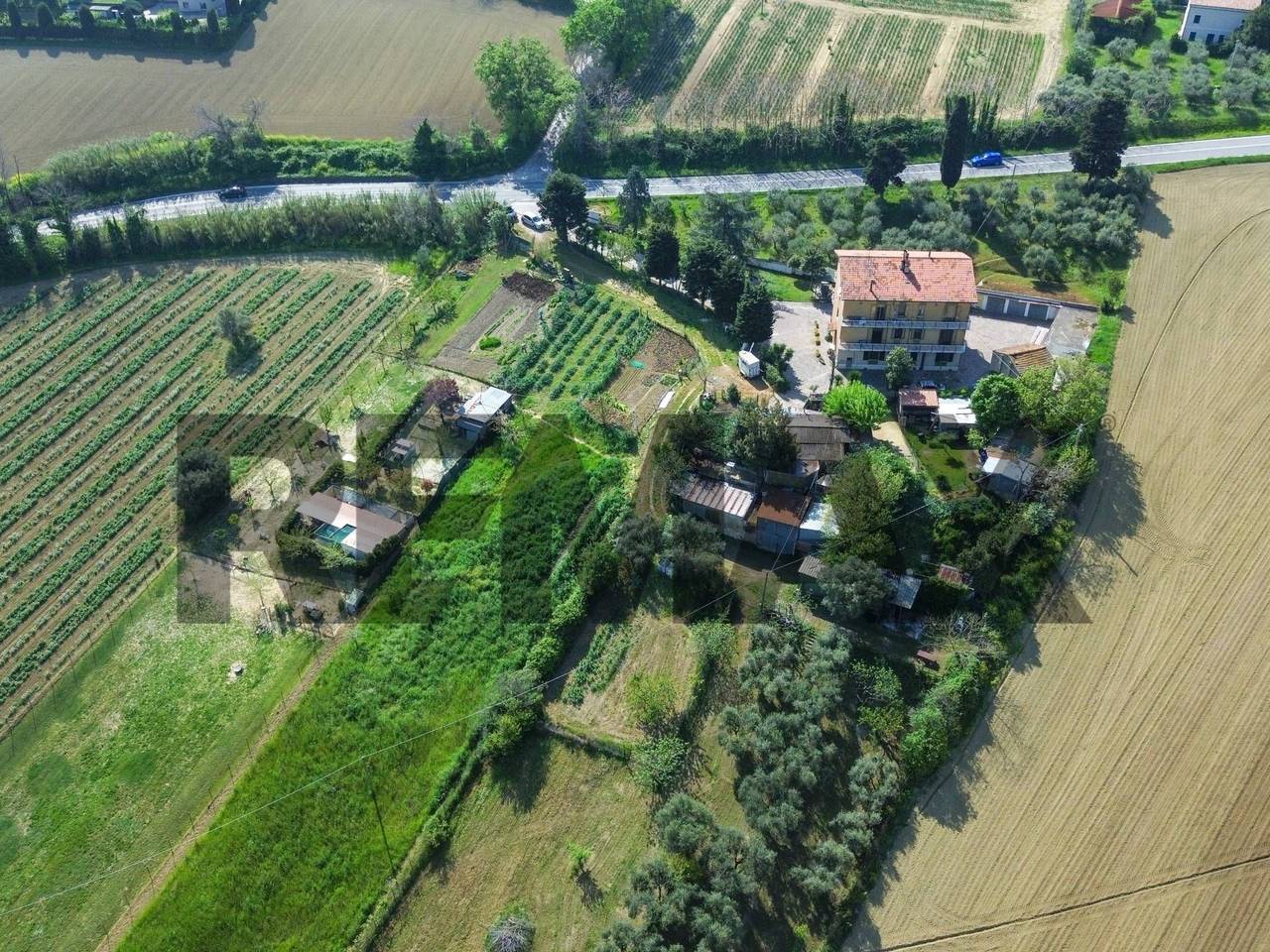 immagine annuncio 9 di 15