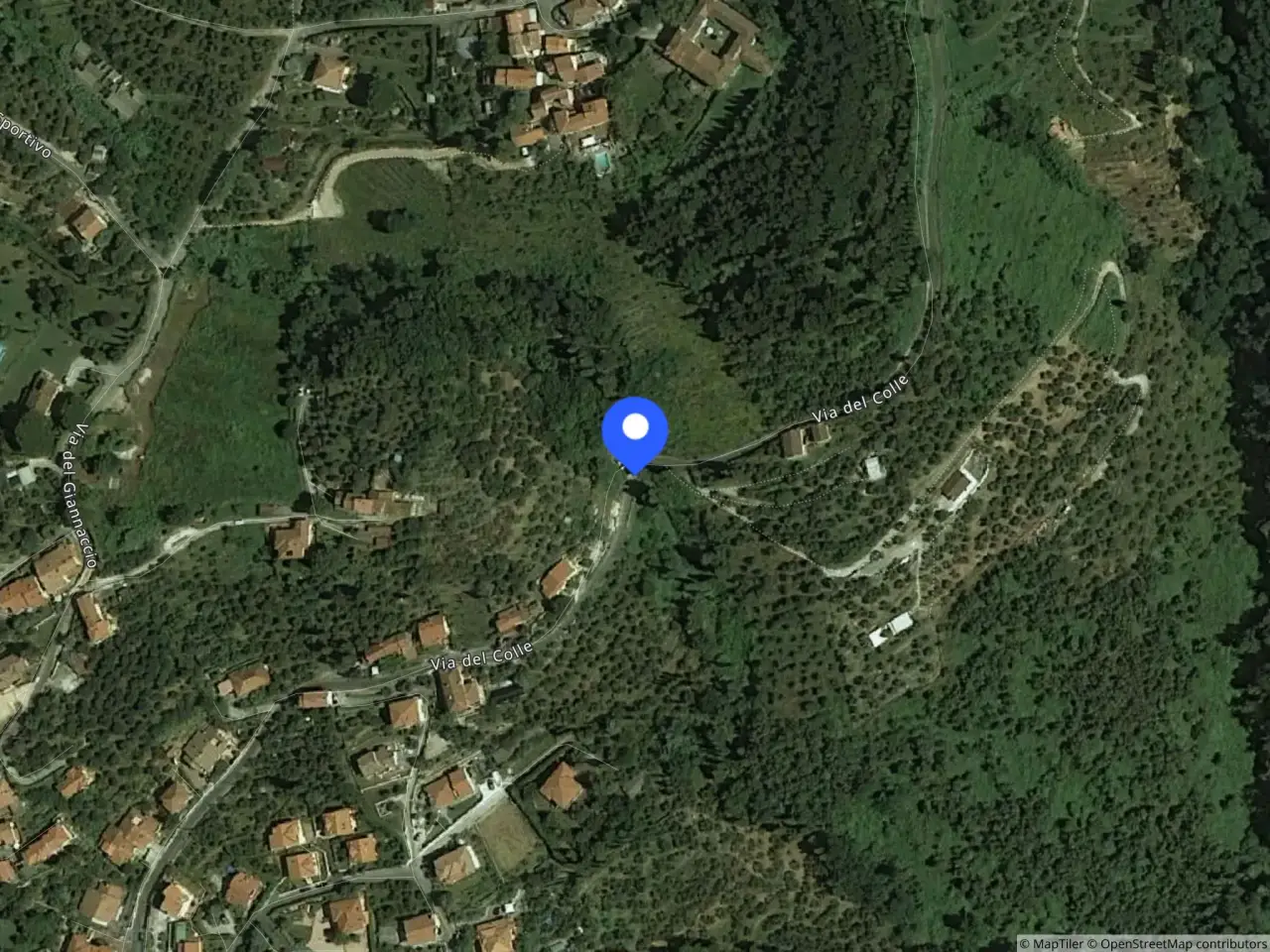 Magazzino in Via del Colle, Fraz.Bargecchia 1101 1101, Massarosa, {3} - Foto 1