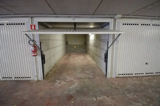insertion image