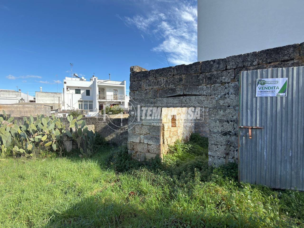 immagine annuncio 3 di 14