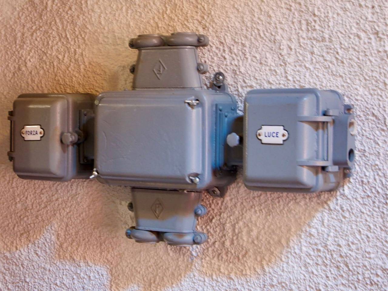 immagine annuncio 12 di 15