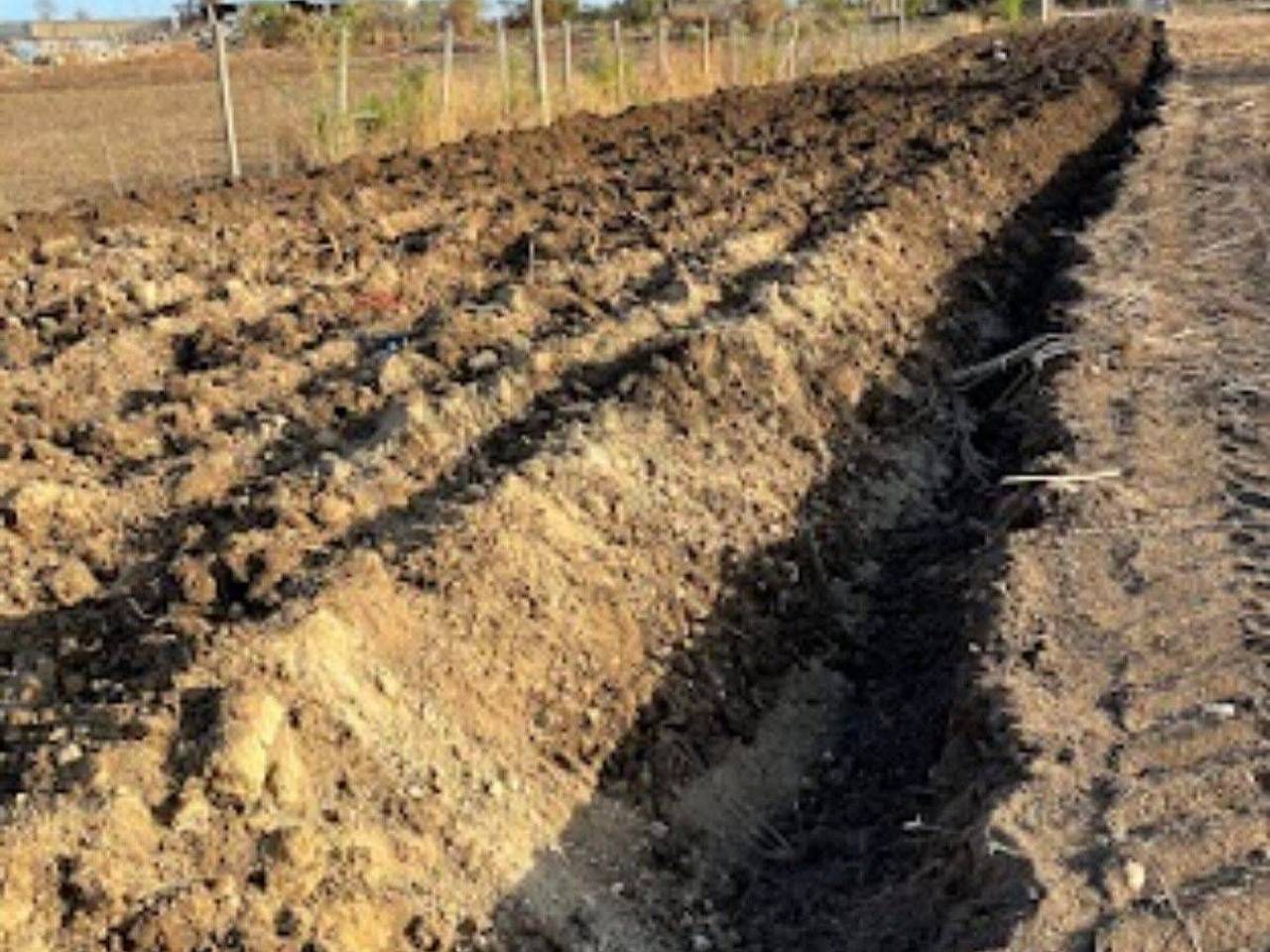 immagine annuncio 4 di 8