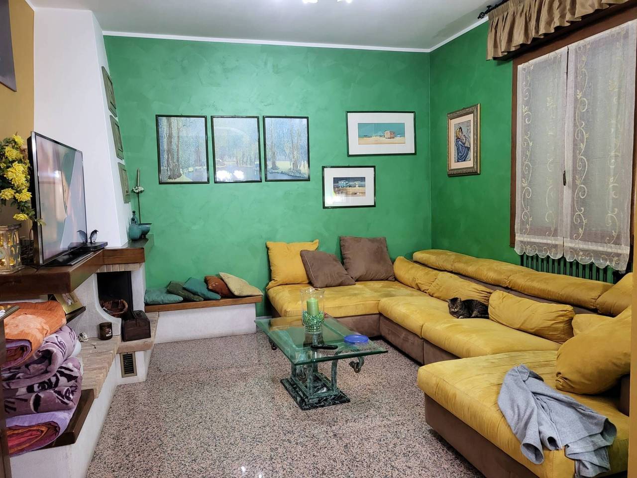 immagine annuncio 1 di 15