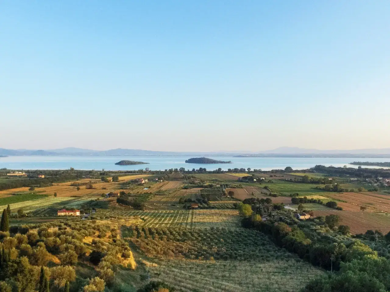 Azienda agricola in , Passignano Sul Trasimeno, {3} - Foto 2