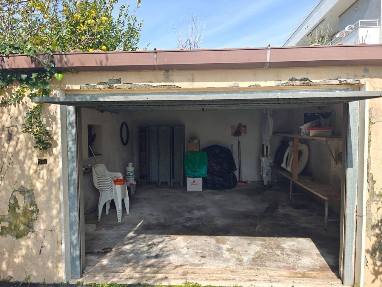 immagine annuncio 11 di 12