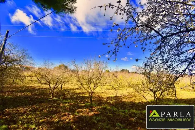 Terreno agricolo in Contrada Montagna, Canicattì - Foto 1