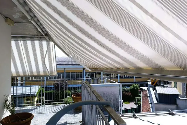 insertion image