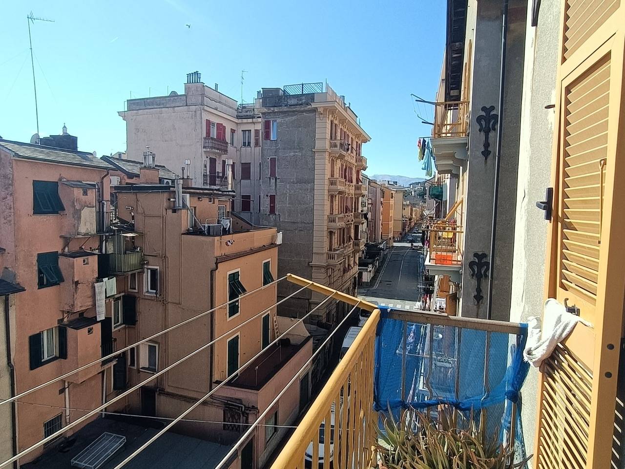 immagine annuncio 13 di 14