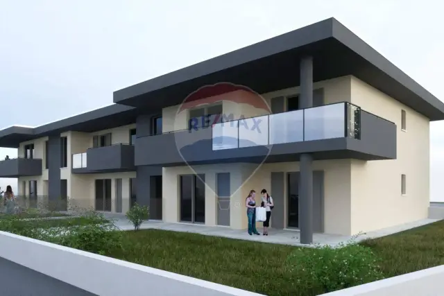 insertion image