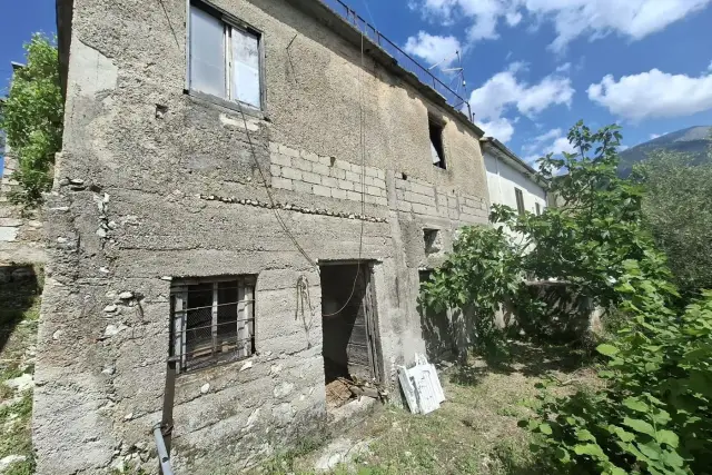 insertion image