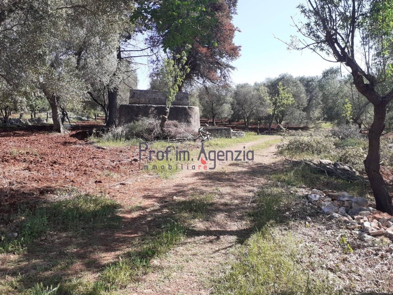 immagine annuncio 2 di 3