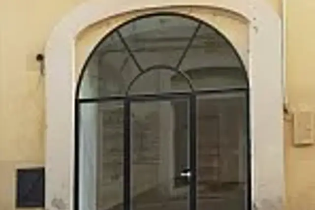 insertion image