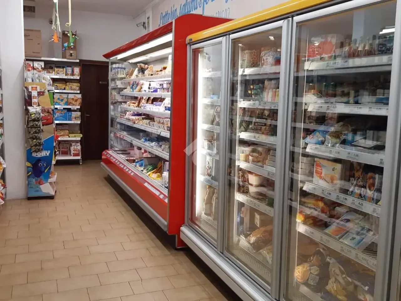 Negozio in Via Cavin Caselle 169, Santa Maria Di Sala, {3} - Foto 1