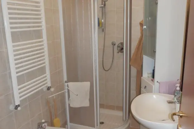 insertion image