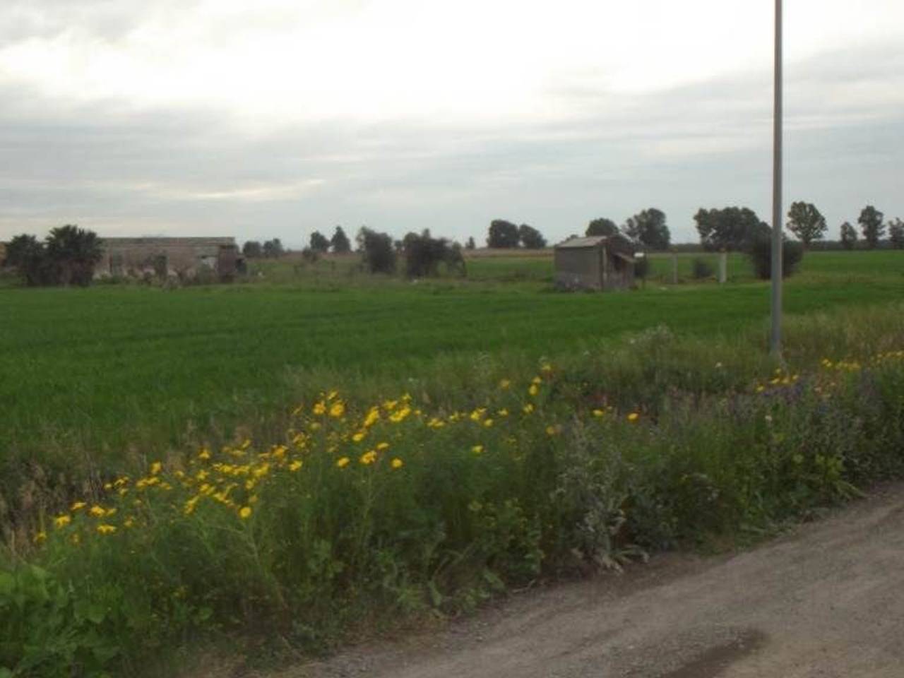 immagine annuncio 2 di 11