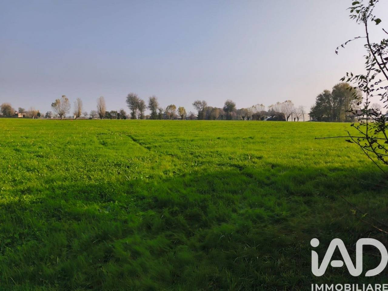 immagine annuncio 6 di 8