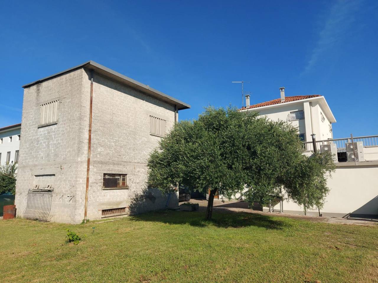 immagine annuncio 9 di 14