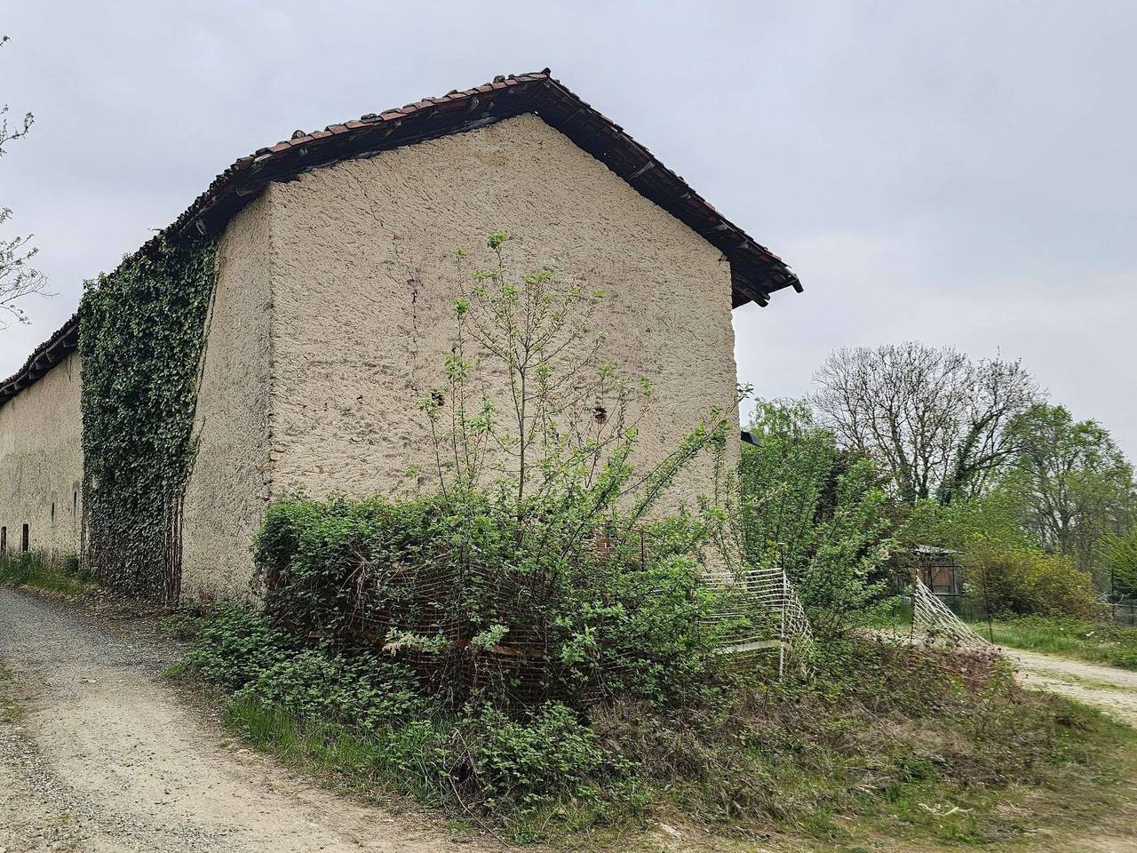 immagine annuncio 10 di 15