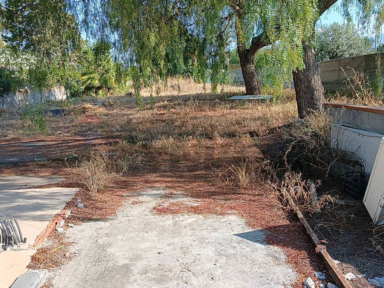 immagine annuncio 5 di 7