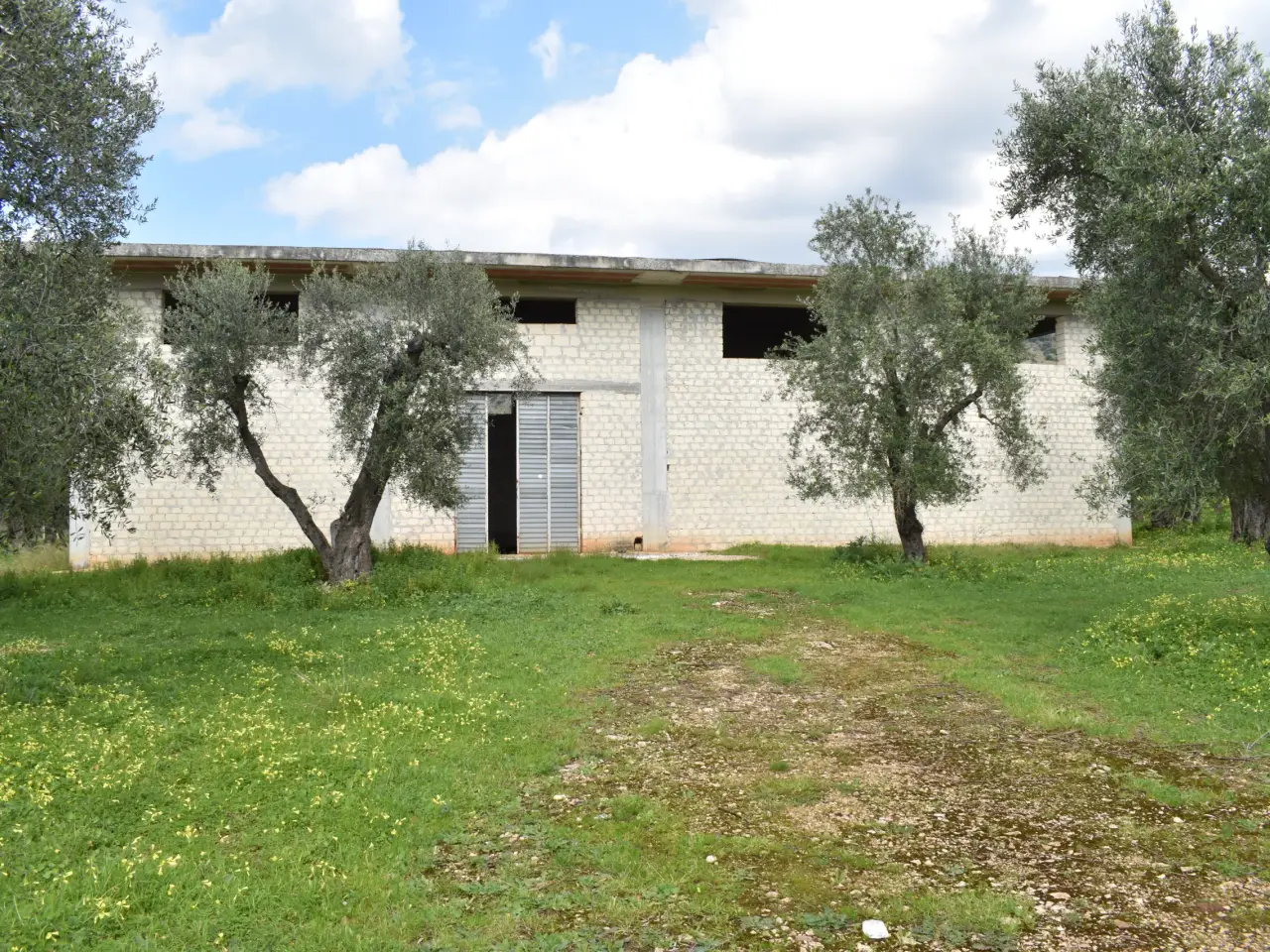 Capannone in Via Mazzini, Carpino, {3} - Foto 1
