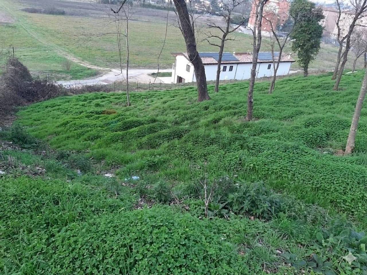 immagine annuncio 7 di 9