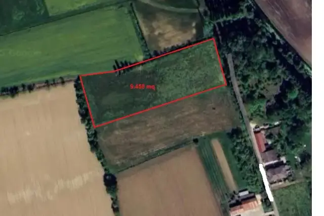 insertion image