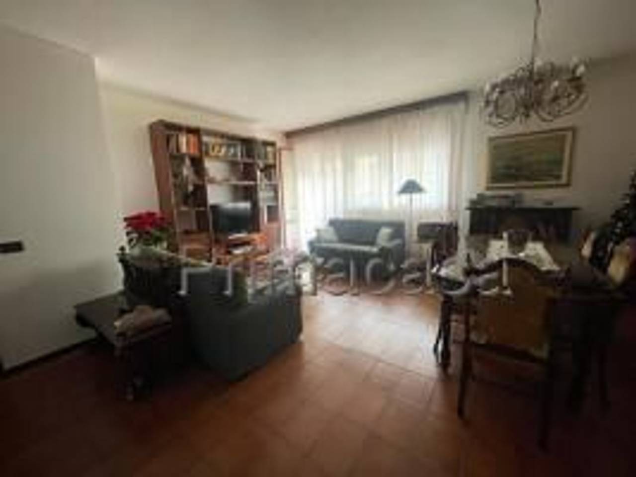 immagine annuncio 6 di 14