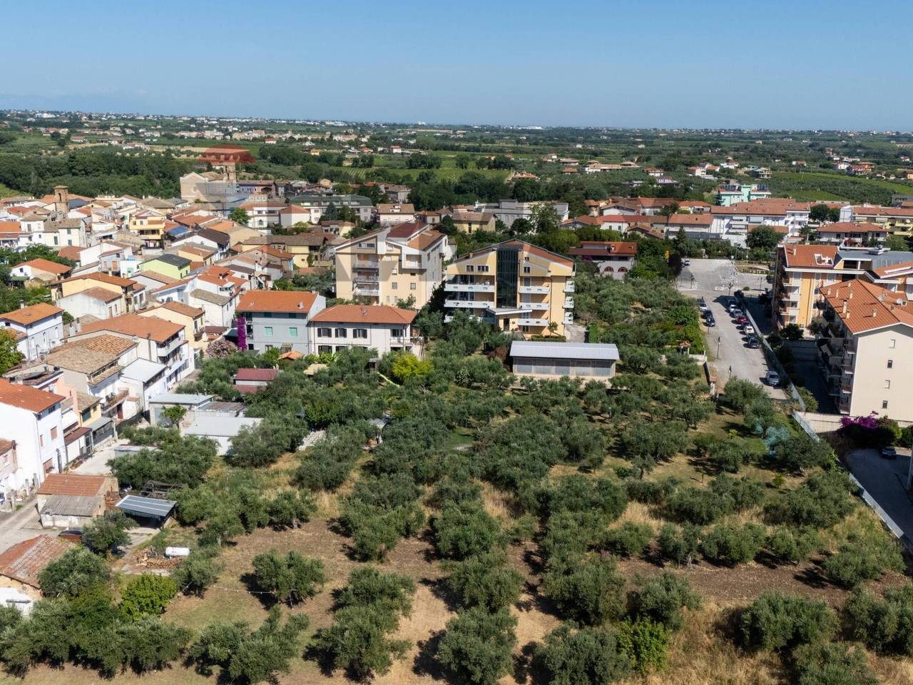 immagine annuncio 1 di 13