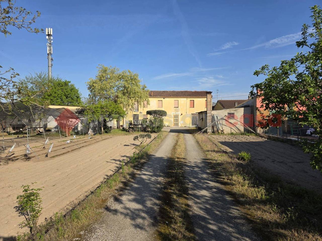 immagine annuncio 12 di 14