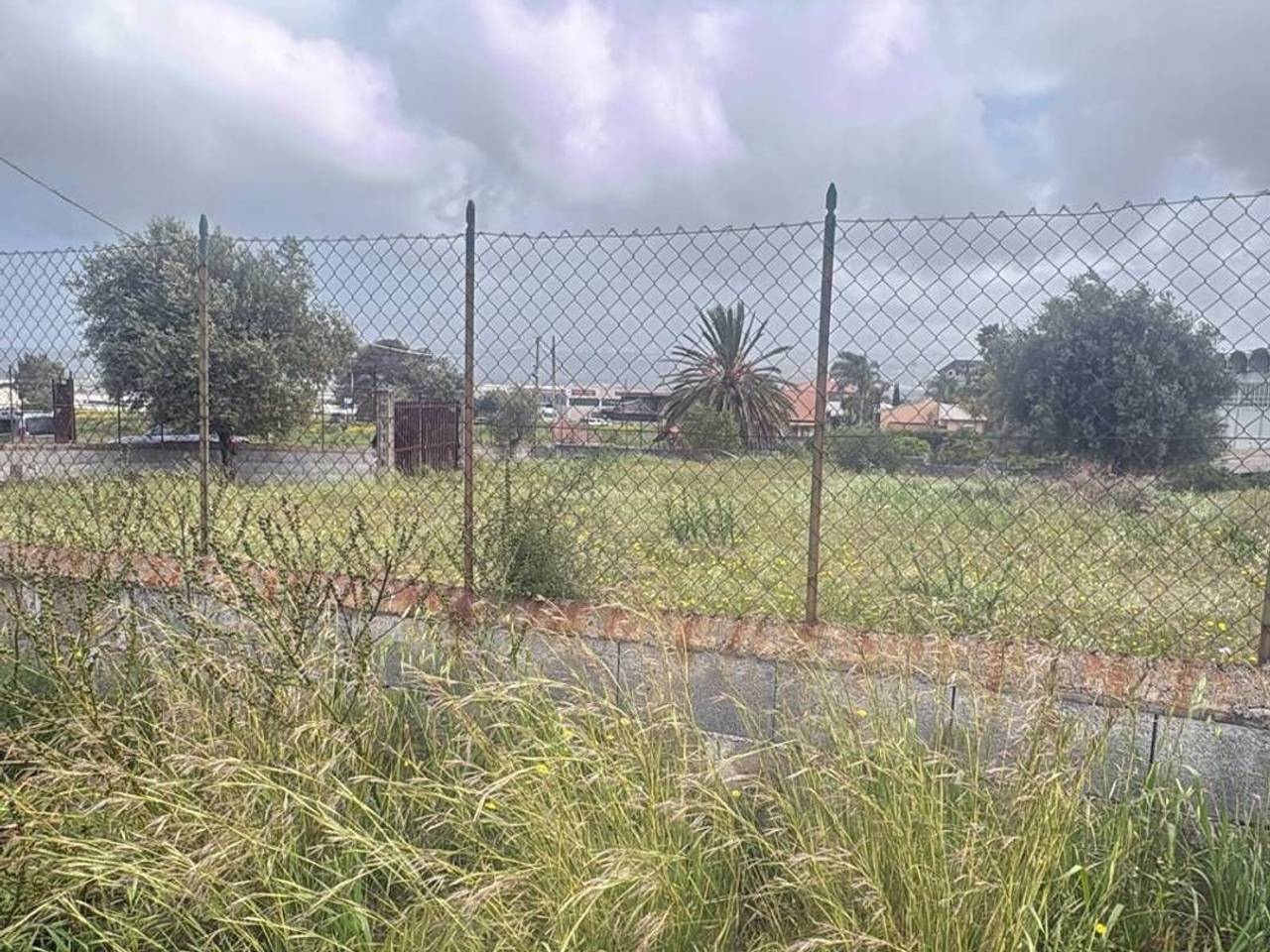 immagine annuncio 3 di 7