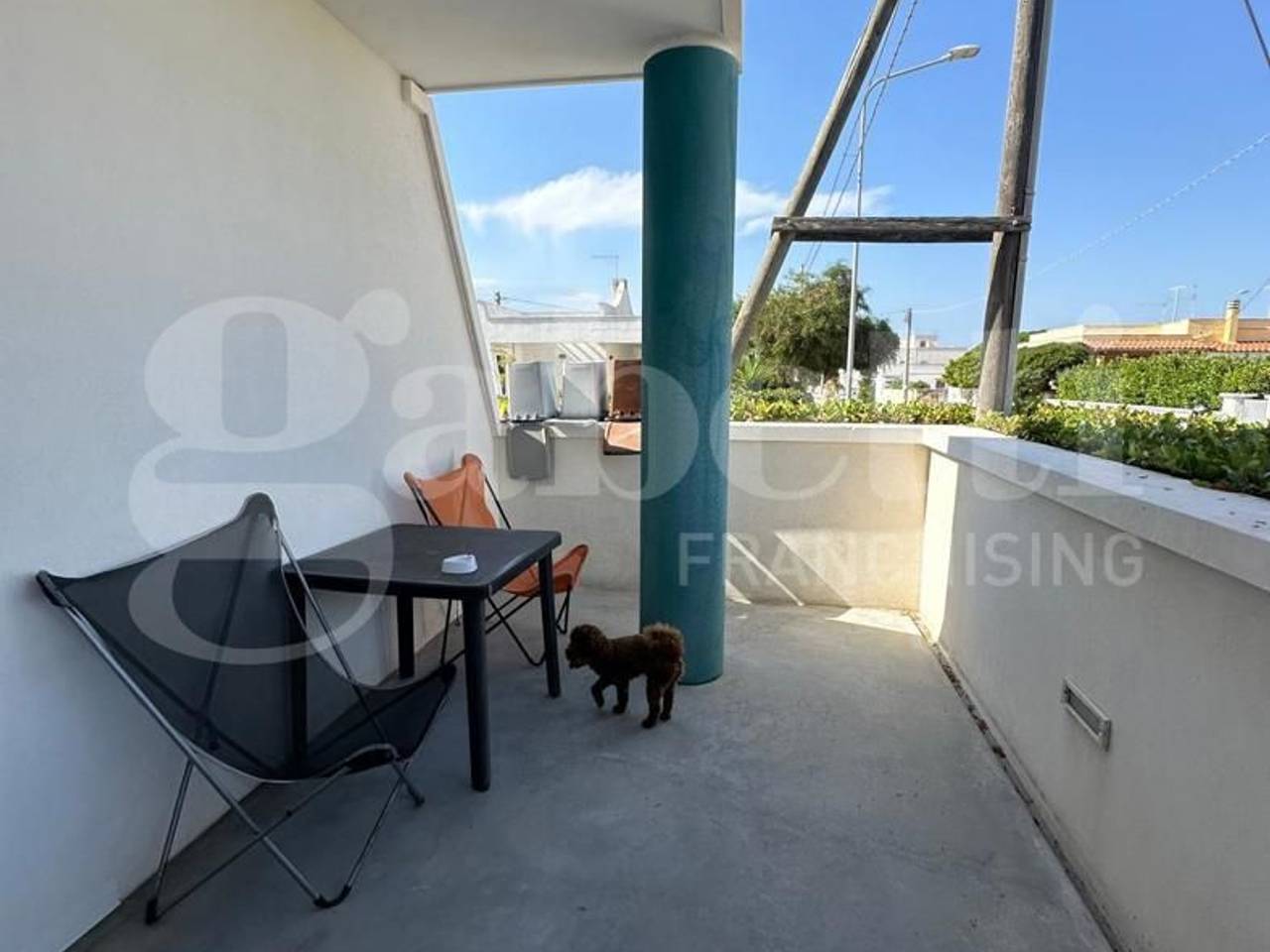 immagine annuncio 3 di 13