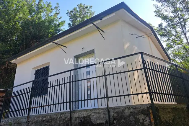 insertion image