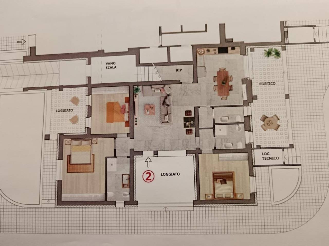 immagine annuncio 9 di 14