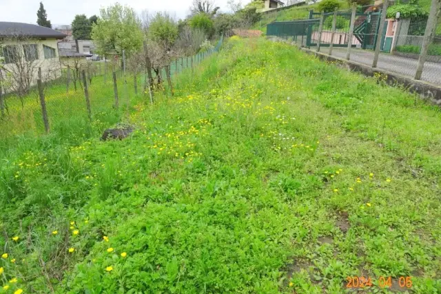 Agrargrundstück in Via al Chiarè, Oggiono - Foto 1