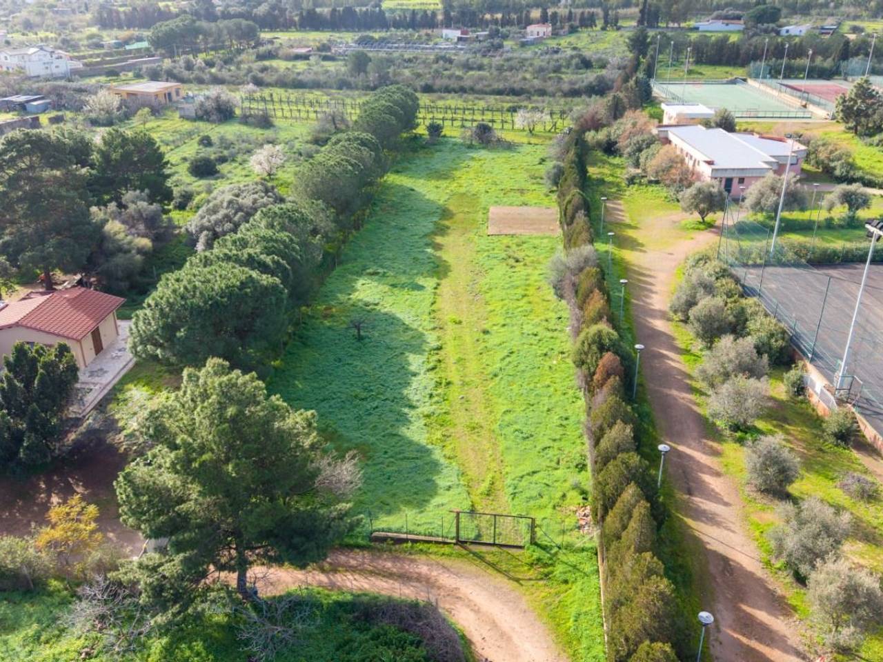 immagine annuncio 5 di 12